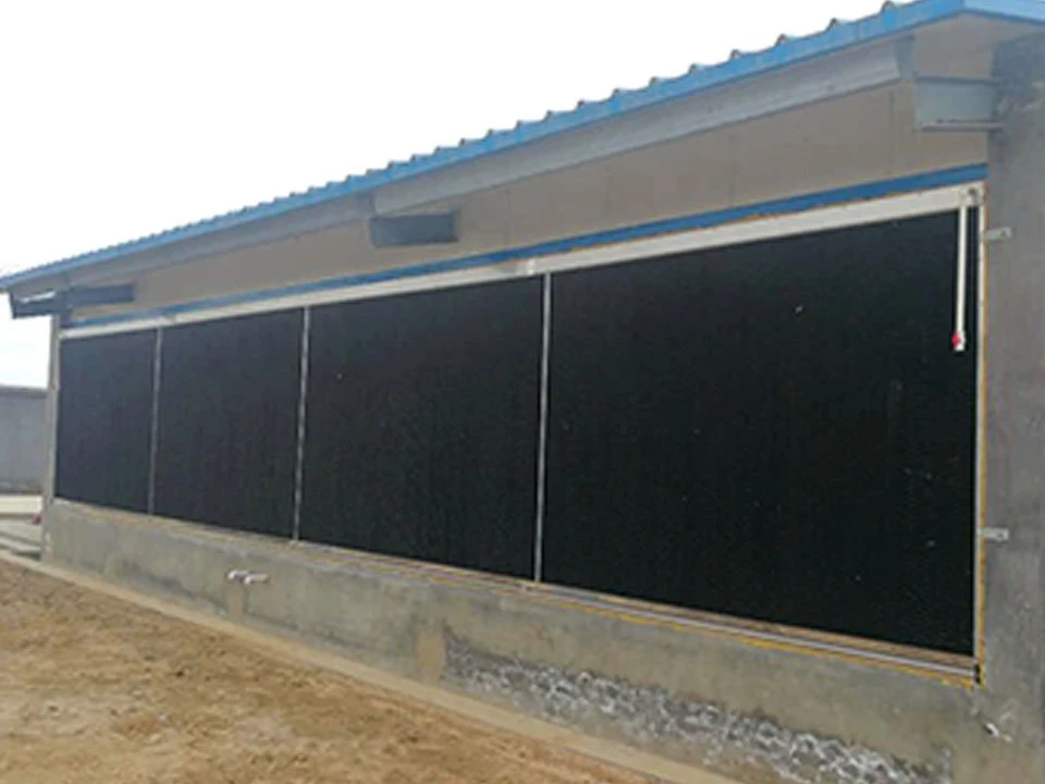 Automatic Cooling Pad System for Broiler Chicken House