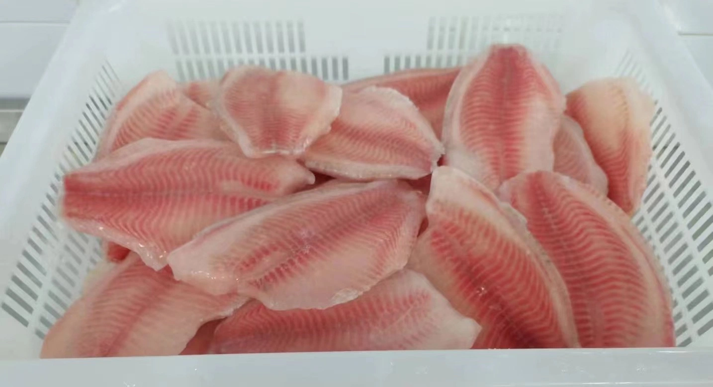 Frozen Tilapia Fillet Fish Sea Food