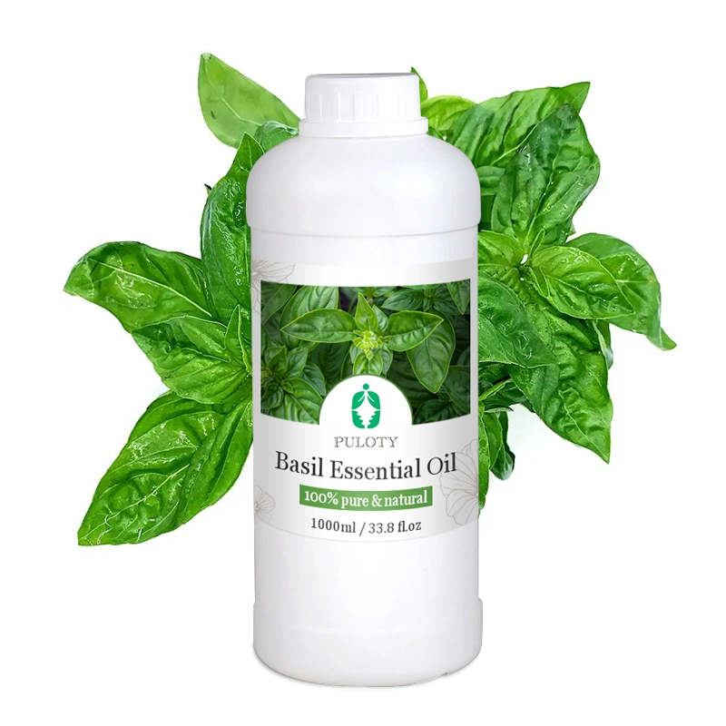 Private Label Free Sample Wholesale Bulk 100% Pure Natural Basil Essential Oil