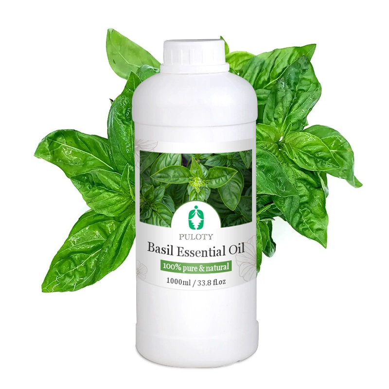 Private Label Free Sample Wholesale/Supplier Bulk 100% Pure Natural Basil Essential Oil