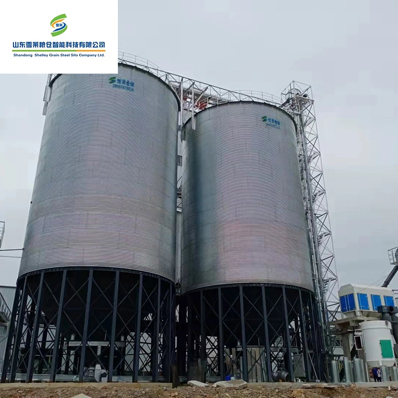 1000t 2000t 3000t Grain Silos Price for Paddy/Corn/Sorghum Storage Steel Silo Bolted Type Farm Bin Manufacturers