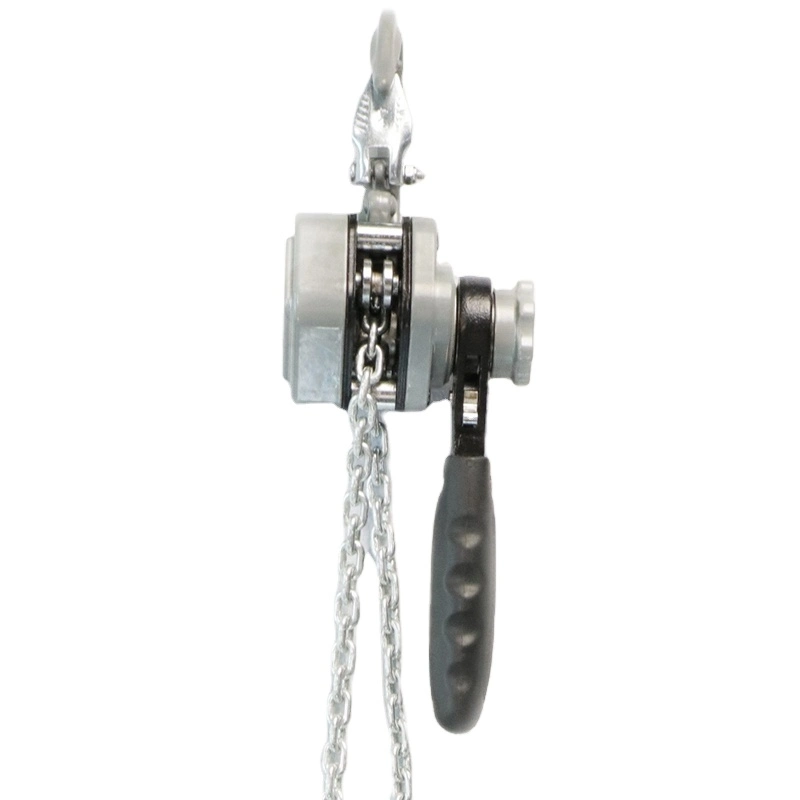 Mini Manual Hoist Hand Chain Block 0.25t High Quality Chain Block