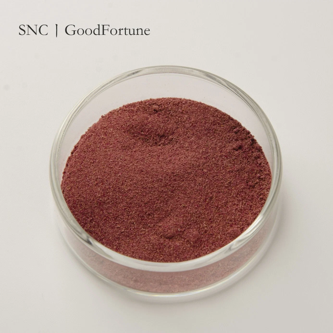 Factory Wholesale Price CAS. 1197991-17-5 Aronia Melanocarpa Fruit Powder