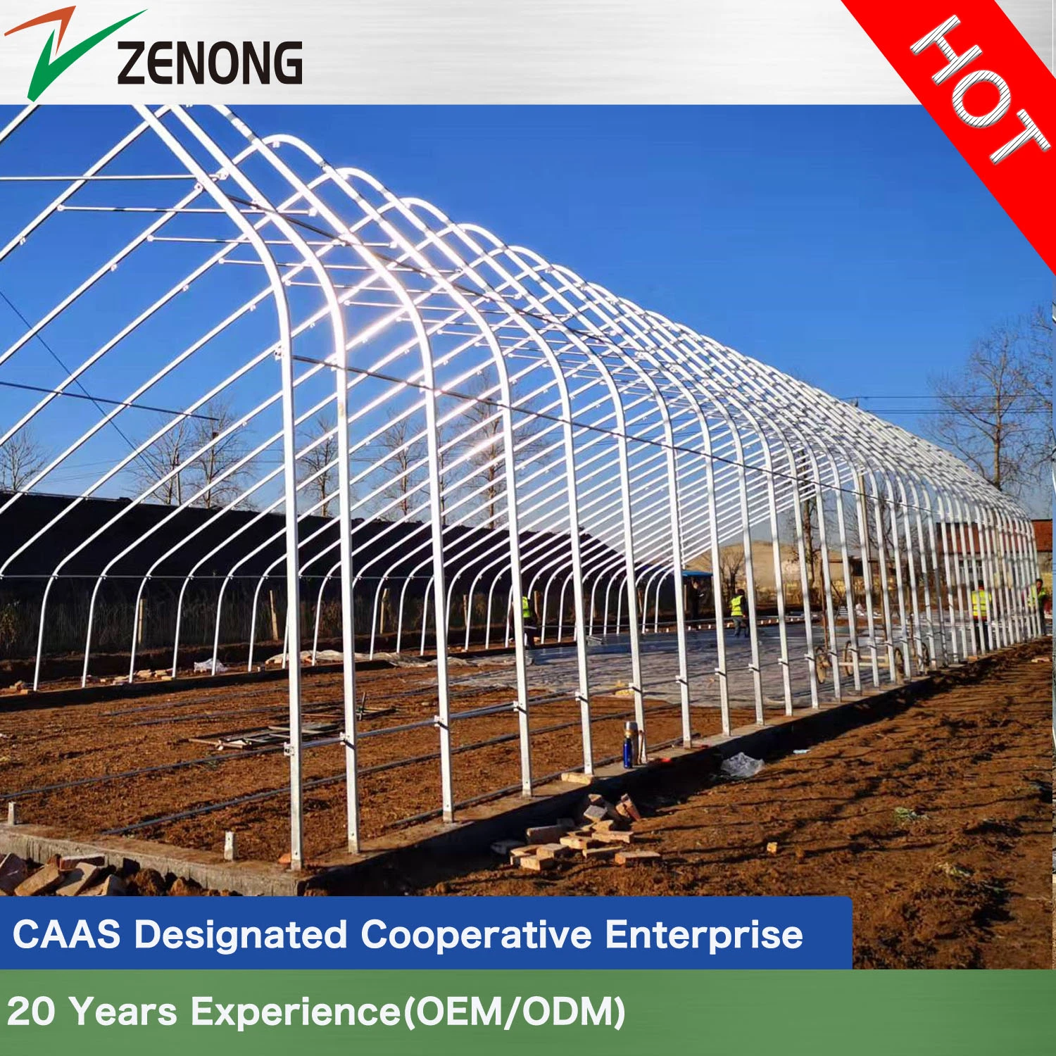 Energy Saving Environmental Friendly Passive Solar Greenhouse with Active Heat Accumulator for Greenhouse Agriculture/Winter Vegetable Culture/Tomato/Cucumber