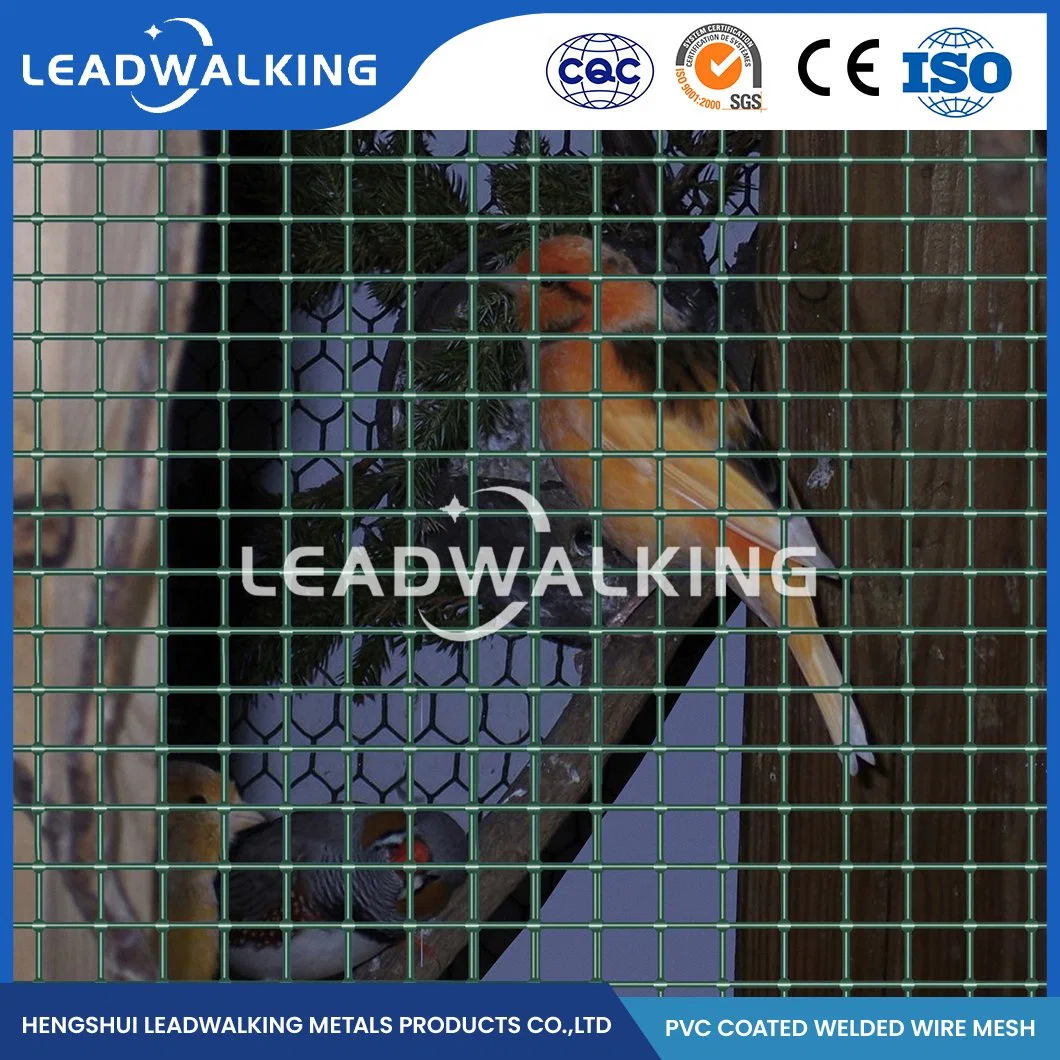 Leadwalking PVC recubierta soldada malla Fabricantes ODM personalizado 2X2 soldado Malla de alambre malla de alambre soldada de China con revestimiento de plástico para Jaula de animales