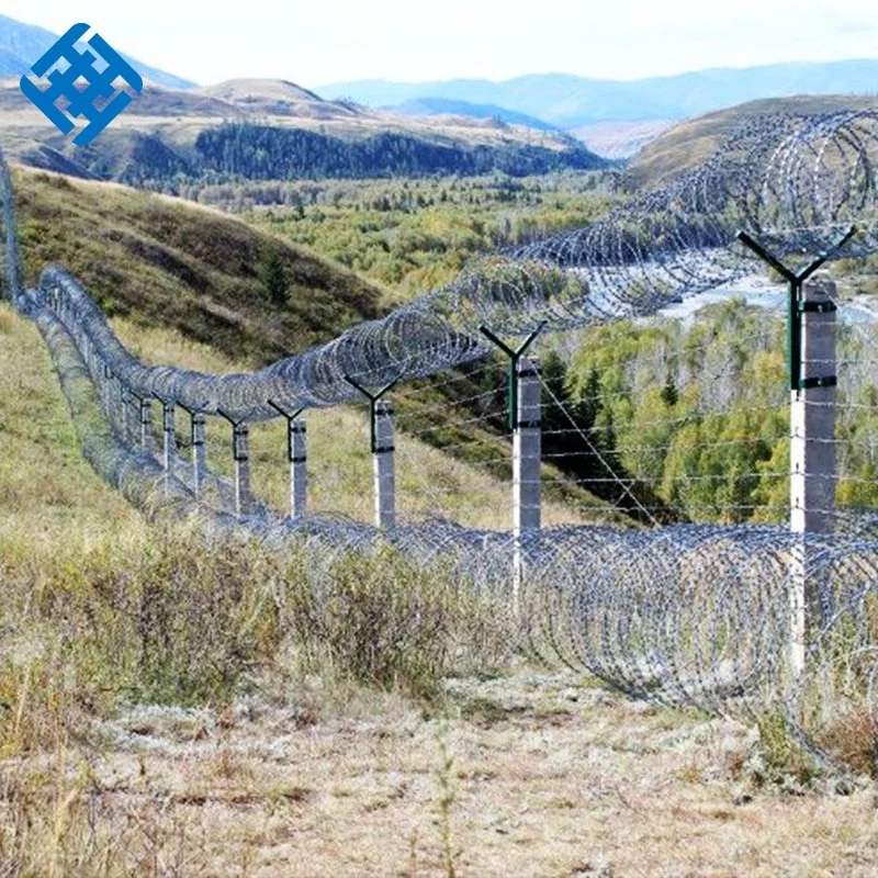 Straight Line Razor Barbed Wire