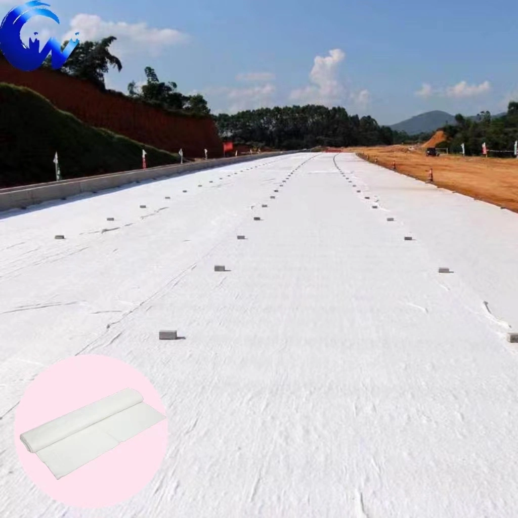 Nonwoven Geotextile PP/Pet Staple Fiber Fabric for Philippines Road