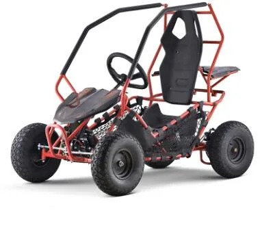 Barato Mini 4 Wheeled fuera de la carretera usado Go Karts