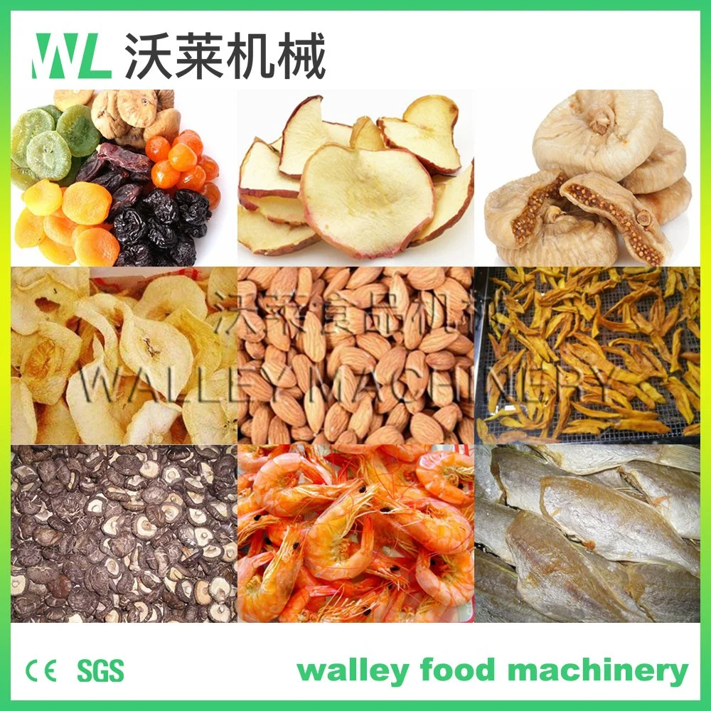 Factory Price Potato Vegetable Steam-Used Box Dryer