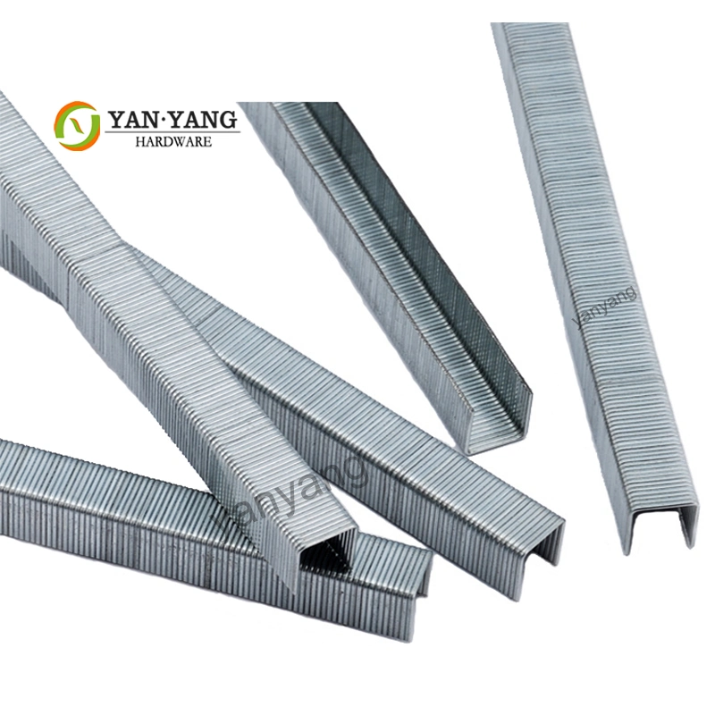 Yanyang Customized 8010 Galvanized Sofa Nails 8012 Upholstery Sofa Furniture Staples