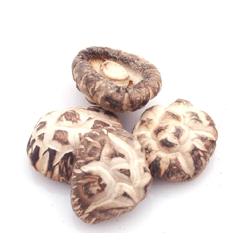 Dried White Flower Shiitake Mushroom Dried Mushroom