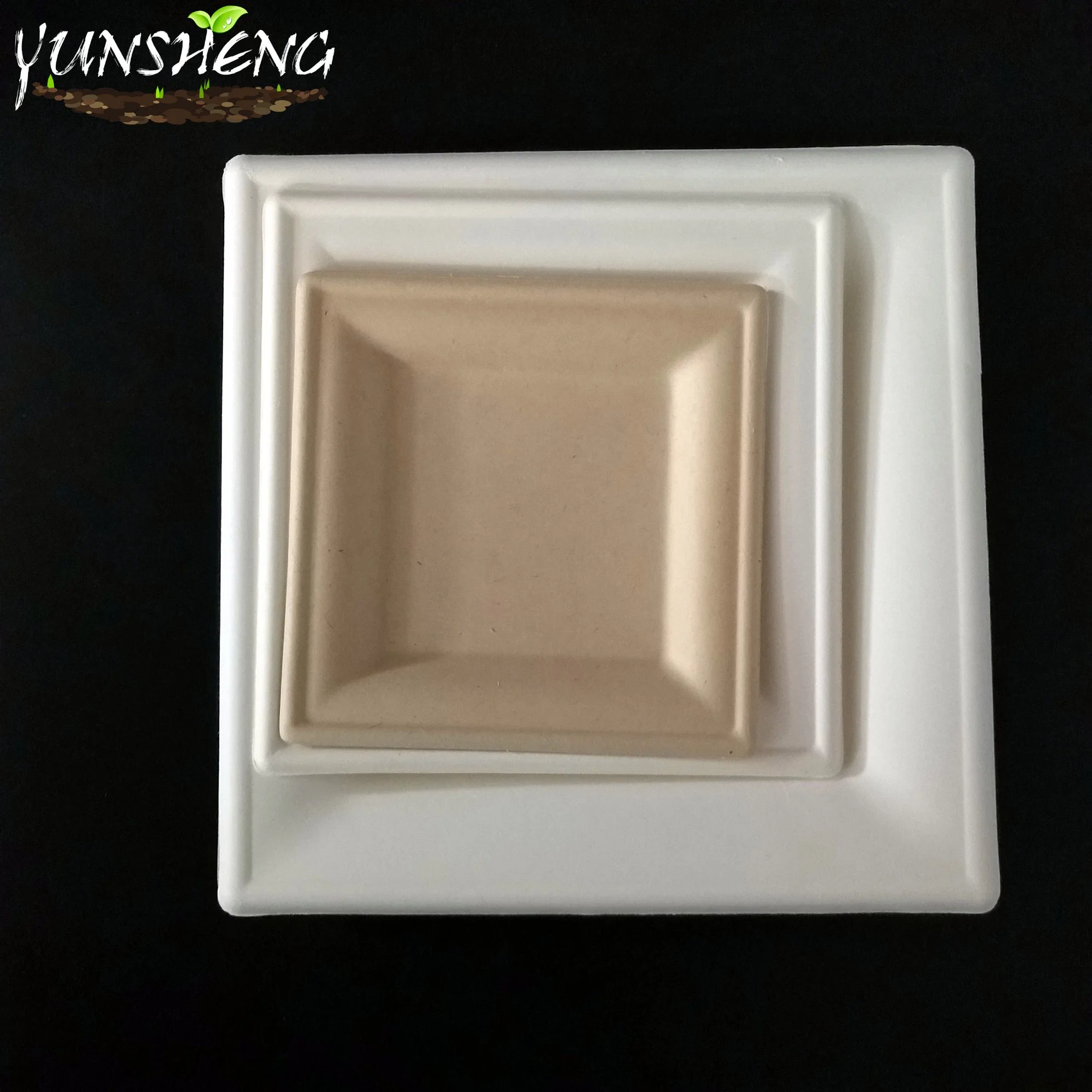 Bagasse Compostable Durable Paper Square Plate for Fruit