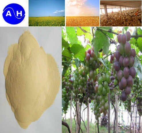 Plant Source Calcium Amino Acid Chelate for Organic Fertilizer