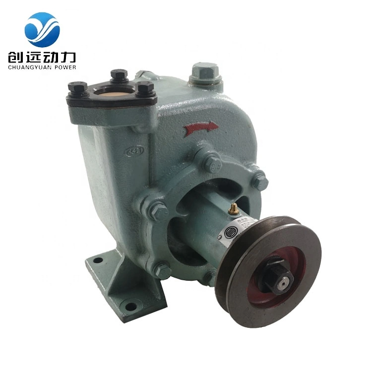 Weichai Diesel Engine Wd615 Wd618 Wd10 Wd12 Wp10 Wp13 762D-21c-000A 612600170076 Iron Kit Electric Machine Sea Water Pump