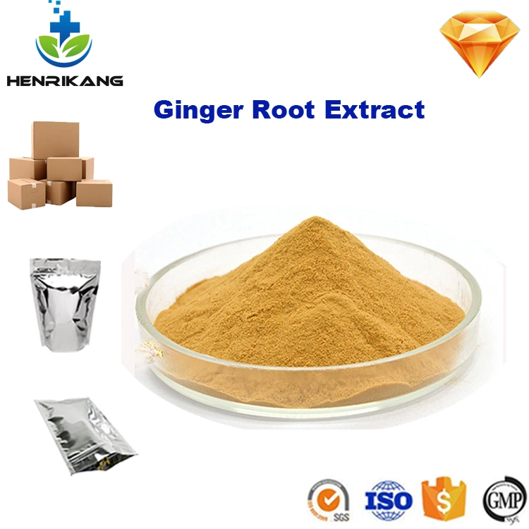 Herb Plant Ginger Root Extract 100% Natural Ginger Extract