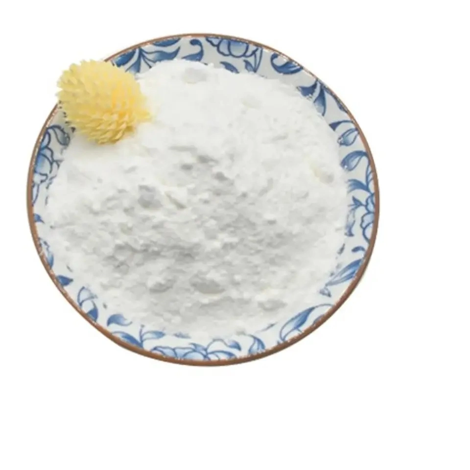 Supply High quality/High cost performance Nootropic Fasoracetam Powder CAS 110958-19-5 Fasoracetam