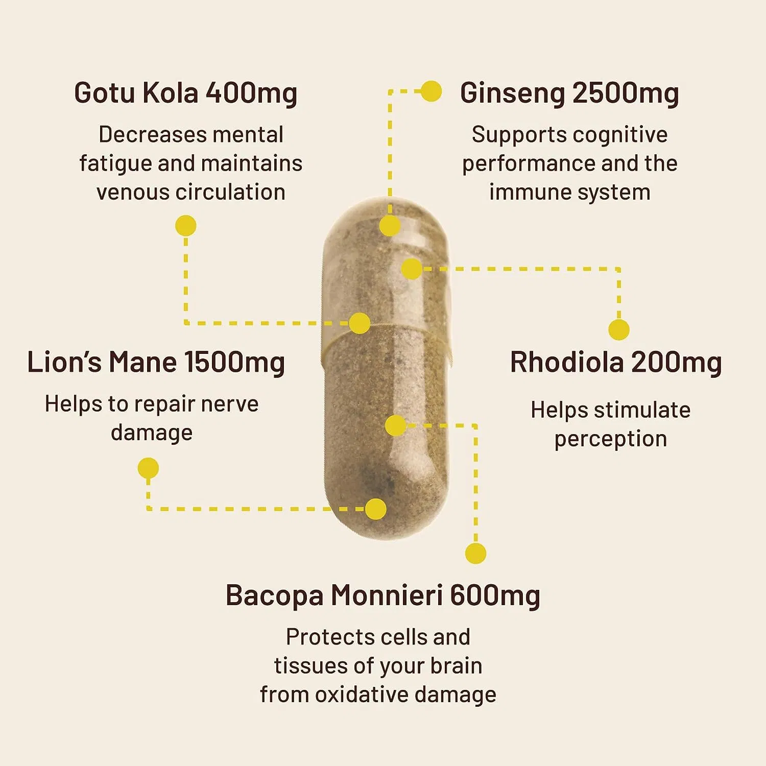 A Defesa imunológica Mane do OEM/ODM Super Mushroom Lion's fornece suporte à energia Cápsula da sala de banho de saúde cerebral