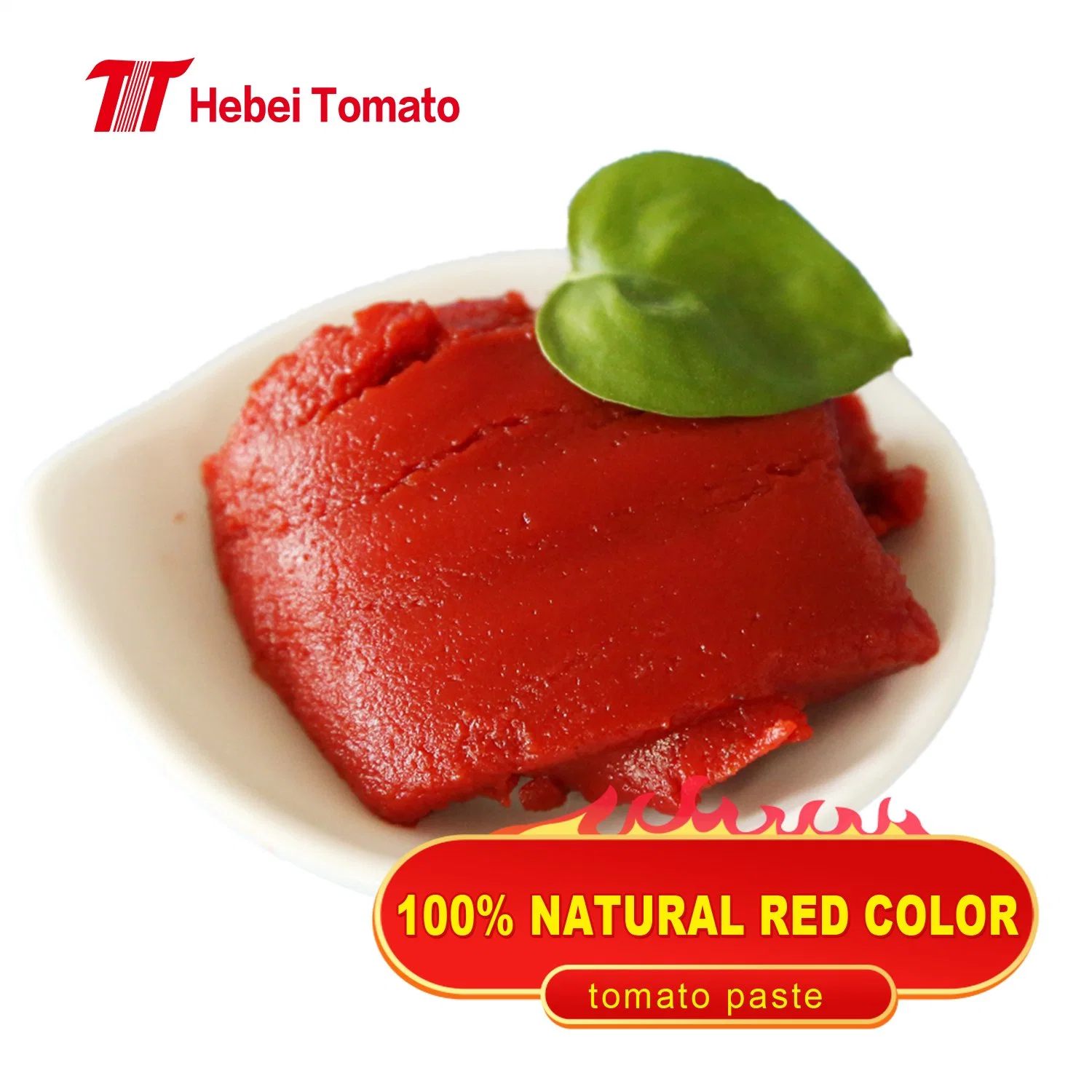 Bonita Tomato Paste 28-30 Everyday Tomato Paste 210g