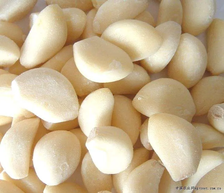 High quality/High cost performance  IQF Frozen Garlic Clove Peeled New Come Garlic Normal White