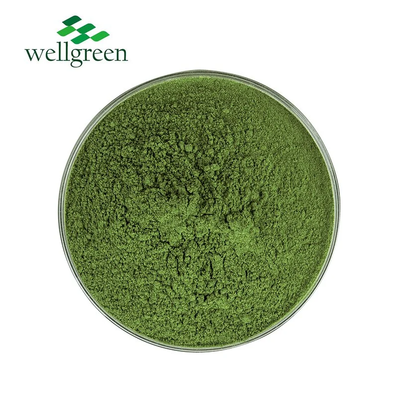 Alfalfa 5% Flavonoids Powder Animal Feed Afalfa Extract