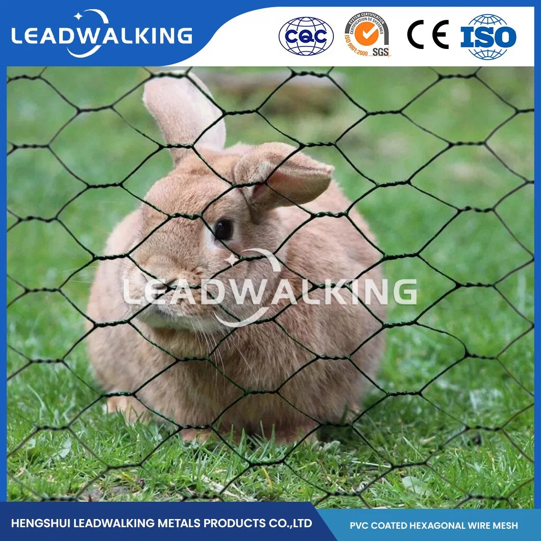 Leadwalking Mild Steel Wire Material PVC Coated Metal Chicken Mesh Manufacturers China 19mm Mesh Galvanized Metal Hexagon Netten