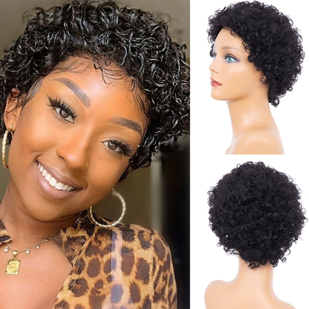 Pixie Cut Style Wig Brazilian Afro Kinky Curly Human Hair Wigs