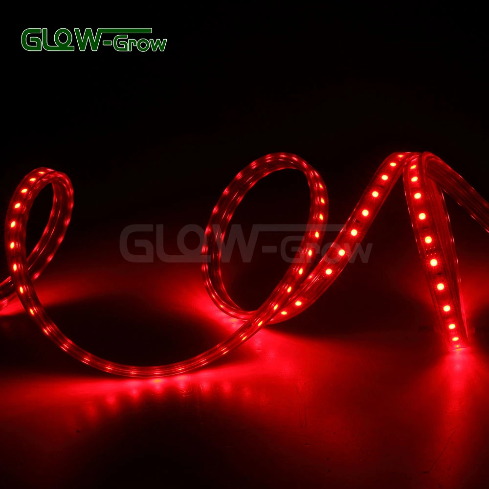 SMD 5050 RGB LED Chip Strip Light for Restaurant Decoration