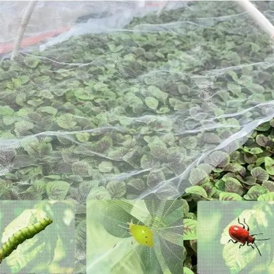 HDPE Insect Repellent Net/Plastic Anti Aphid Net/Greenhouse Insect Proof Net for Agriculture