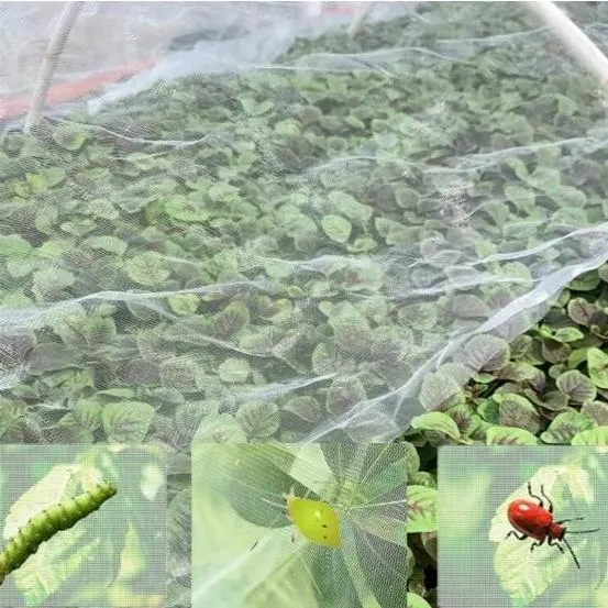 Filet hydrofuge en HDPE/filet anti-pucerons en plastique/filet résistant aux insectes de serre Pour l'agriculture