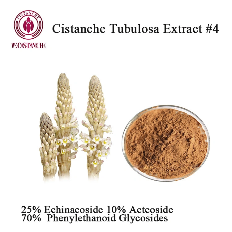 100g Enhance Kidney Supplements 25% Echinacoside Cistanche Tubulosa Powder for Increasing Stamina