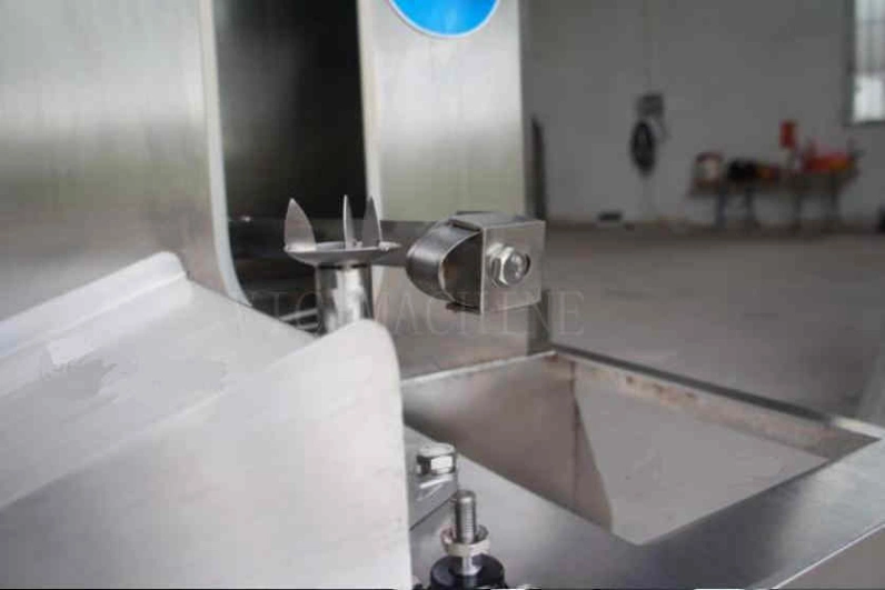 Duplex automatic pineapple and coconut peeling machine