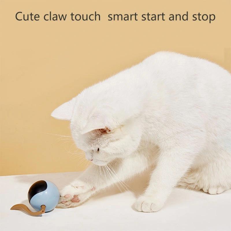 Automatisch Haustier Elektro Smart Selbst Beißen Lustige Katze Bälle Träumen Spielzeug Wbb19322