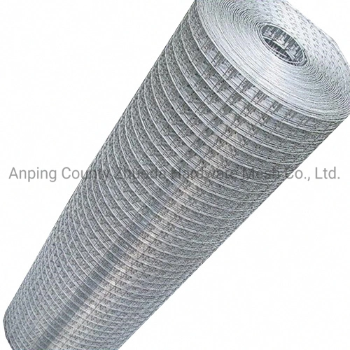 Hot Dipped After Welding Galvanized 1/4 Inch Mesh Chicken Rabbit Pigeon Wire Mesh