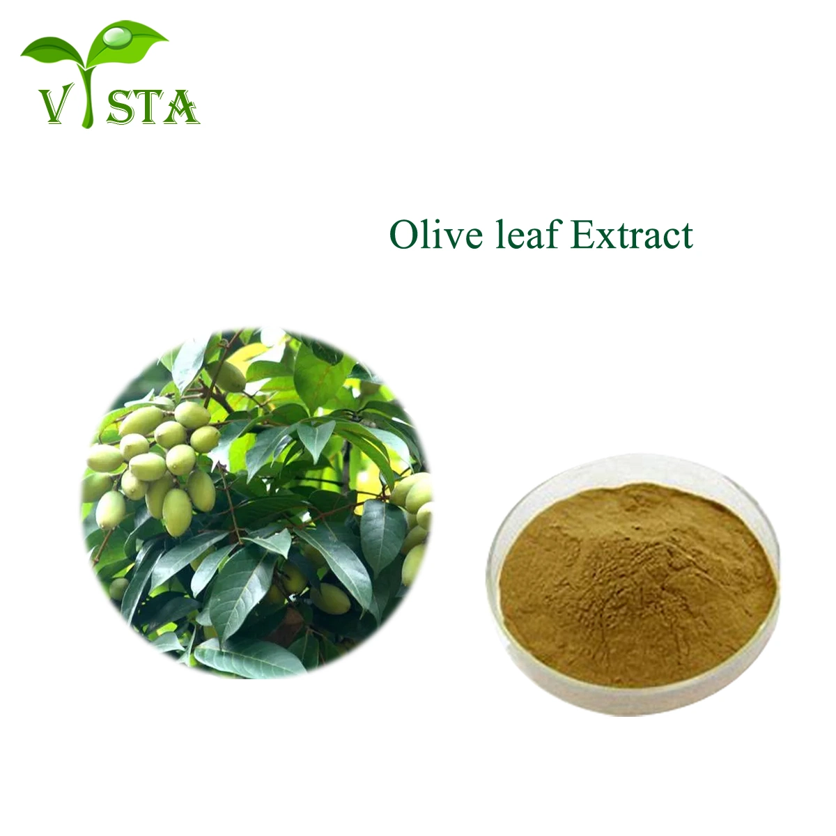 Extracto de planta Natural 100%~20% Extracto de hoja de Oliva hidroxitirosina 5%~100%