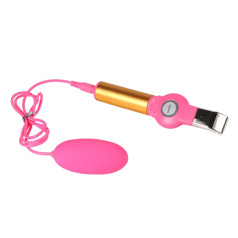 20 Speed Mini Vibrating Egg with USB Charger on Promotion Sex Toy