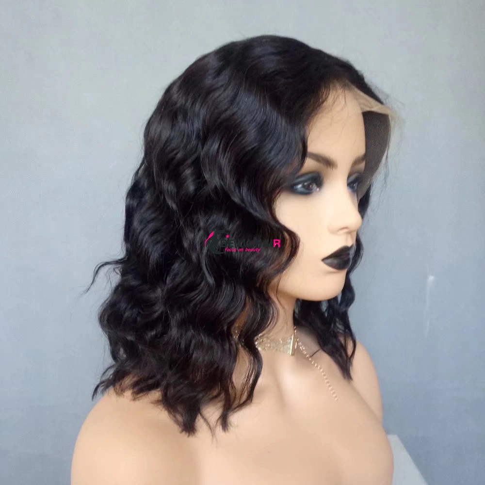 Wholesale/Supplier Cuticle Aligned Unprocessed Brazilian Hair Virgin Human Hair Full Lace Wigs