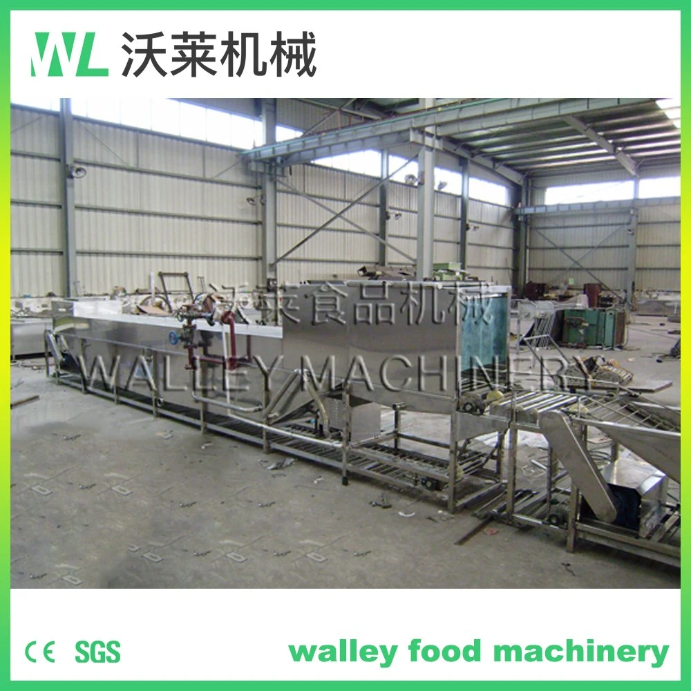 High Rebuy Industrial Automatic Continuous Basket Type Vegetables and Fruits Killing Equipment