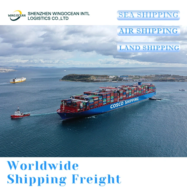 Excellent China Freight Forwarder Shipping Agent for USA/ Canada/ Europe Sea Shipment