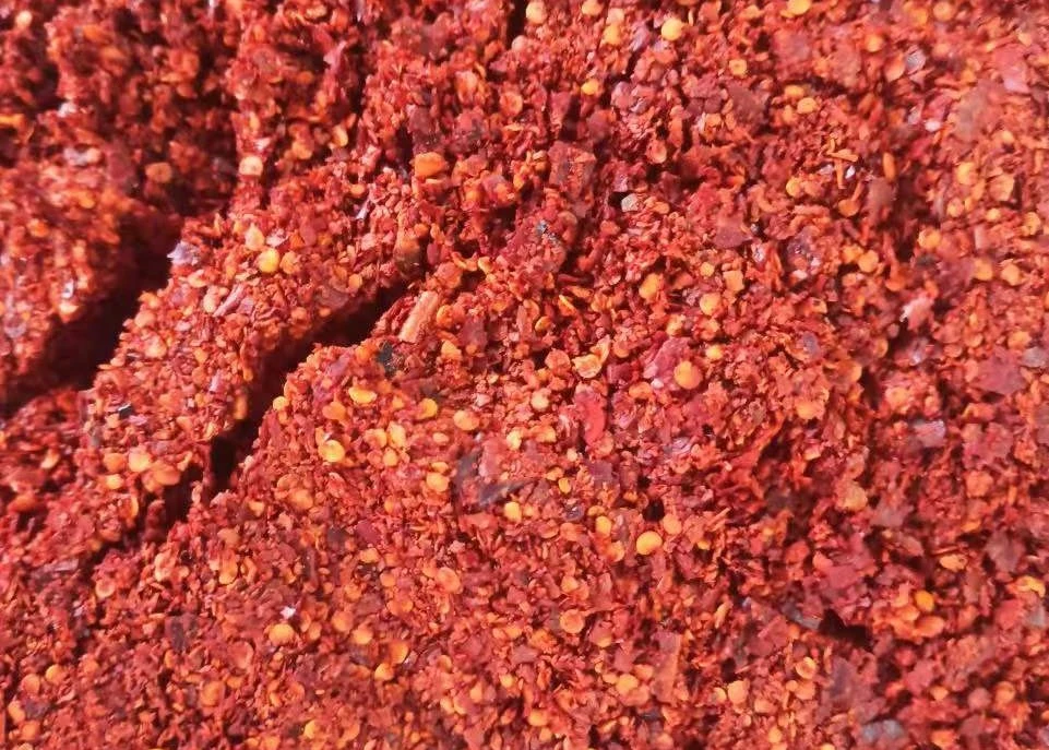 Vermelho seca triturada Chili com melhor relação preço / grau a / Esmagado Chili