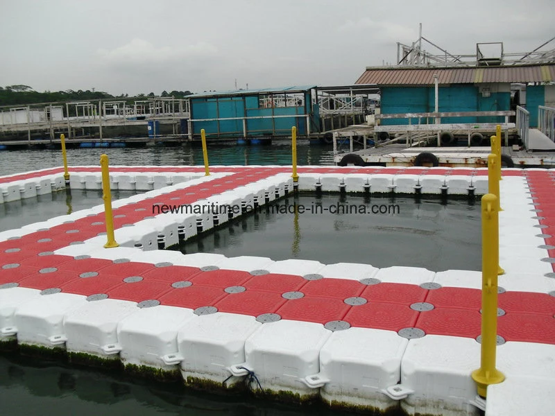 Bouyancy 8X8 HDPE Floating Dock