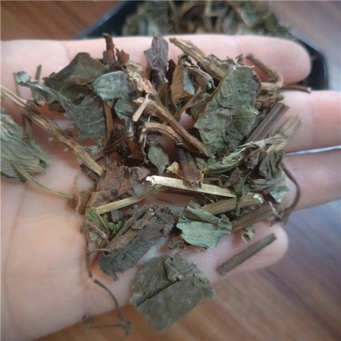 Yu Xing Cao Traditional Chinese Herbal Medicine Dried Houttuyniae Herba