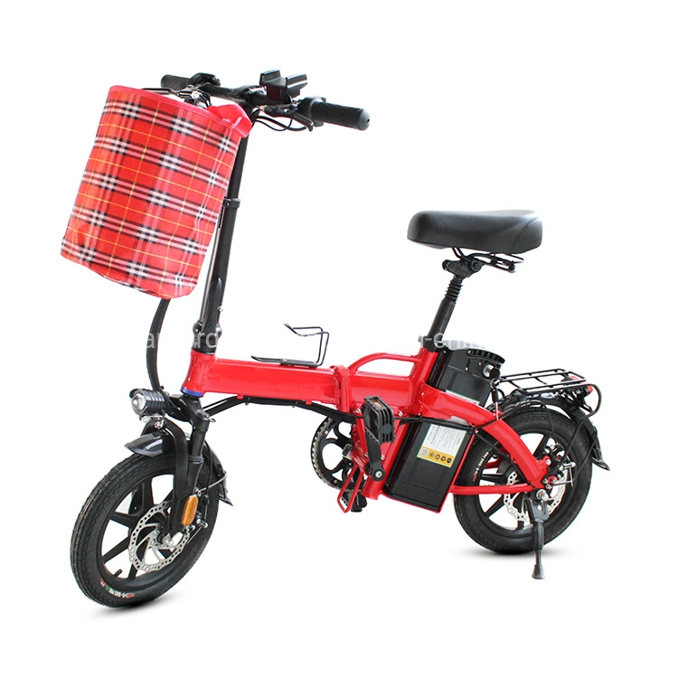 New Ebike Electric Bicycle Bike with 48V 20ah Lithium Battery Electric Bike Folding