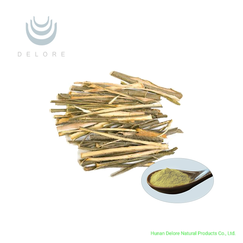 Wholesale Price Herbal Extract Solvent Extraction Food Grade White Willow Bark Extract