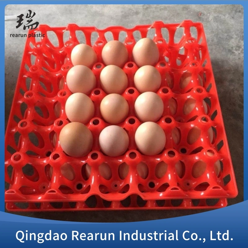 Wholesale/Supplier 30 Holes Plastic Egg Tray Plastic 30 Egg Tray Plastic