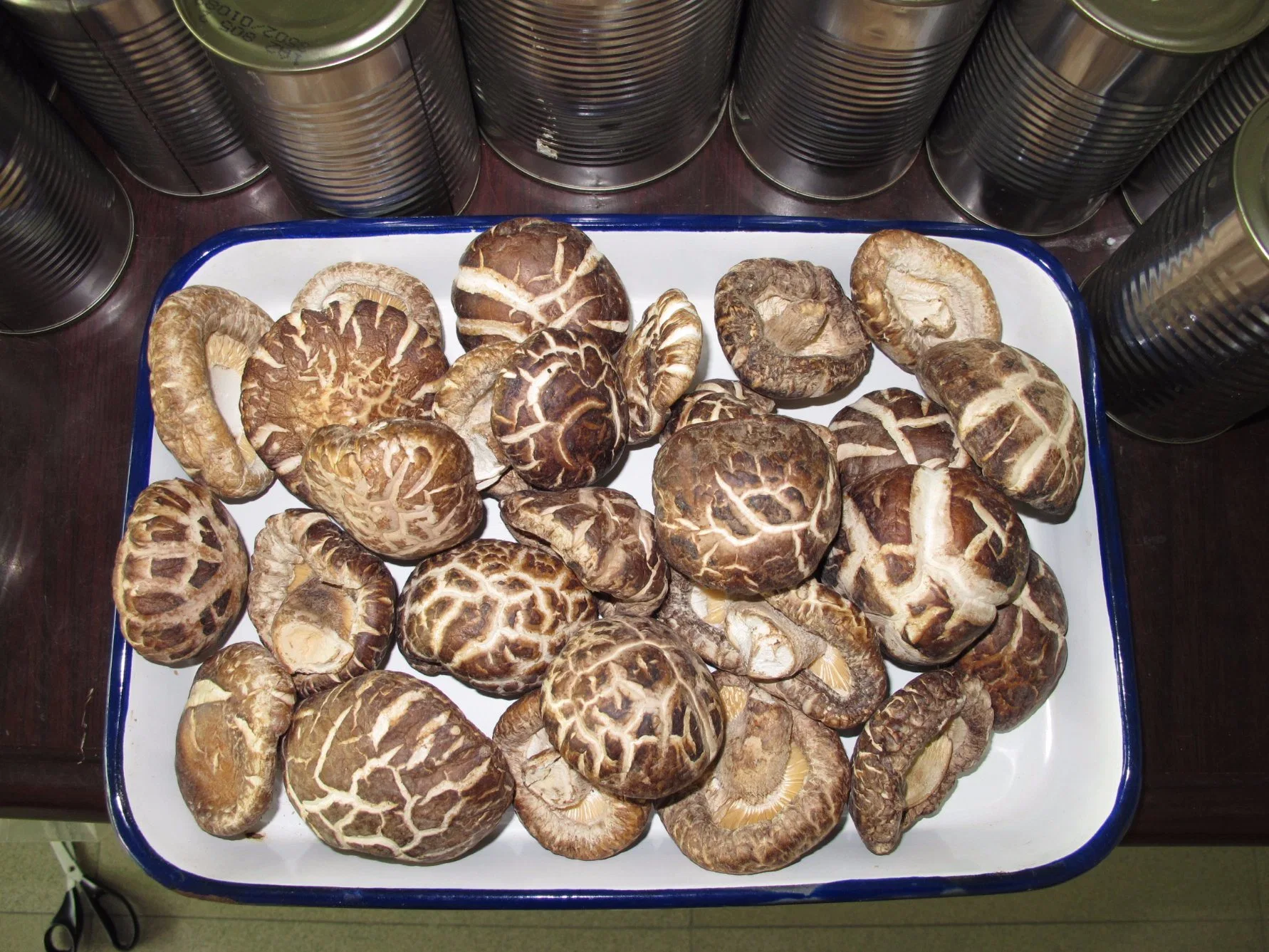 Grade A Großhandel/Lieferant getrocknete Shiitake Pilz für Dosenpilz