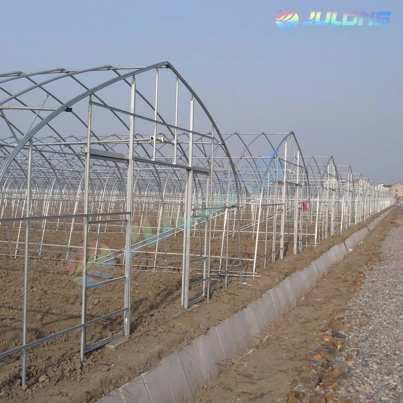 Agriculture Strawberry Commercial Greenhouse Galvanized Frame Poly Tunnel Single Span Greenhouses Metal Frame Double Layer Film Greenhouse