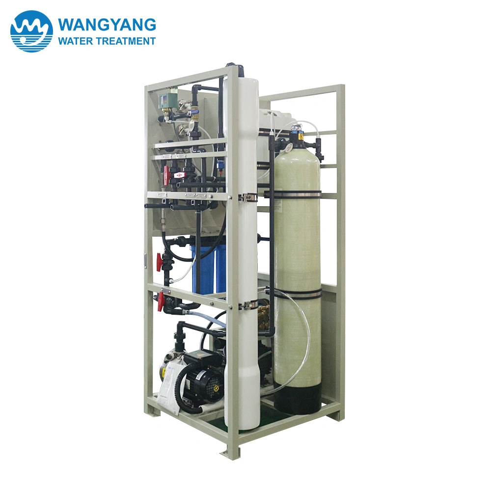 3tpd Small Auto Flushing Seawater Desalination Equipment in South Africa