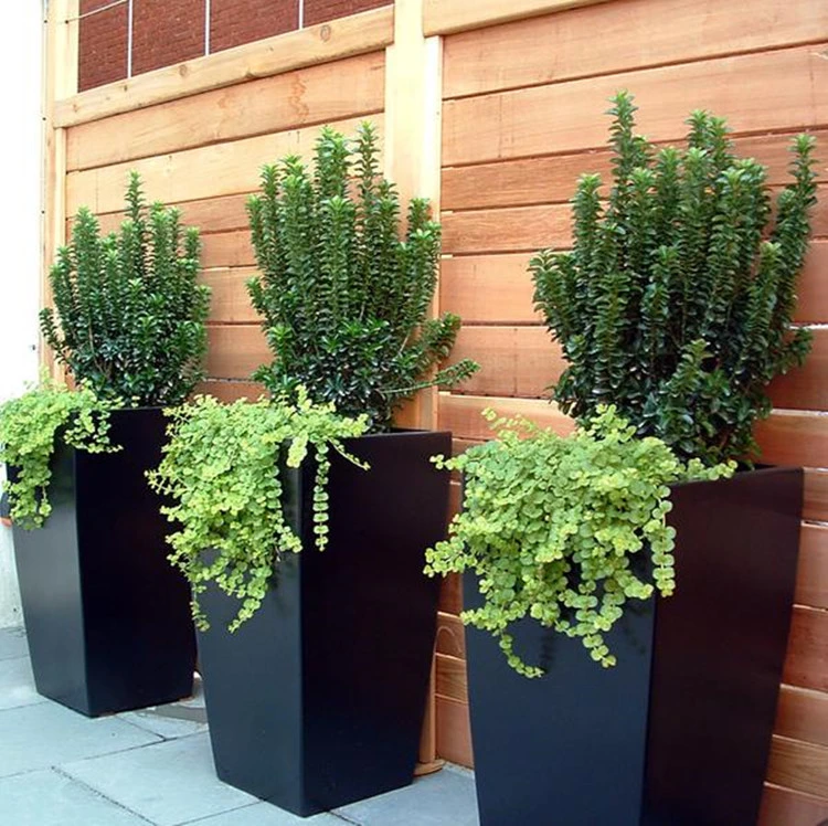 Powder-Coated Aluminum Planter Boxes/ Square & Cube, for Outdoor and Indoor Commercial Use, Metal Planter