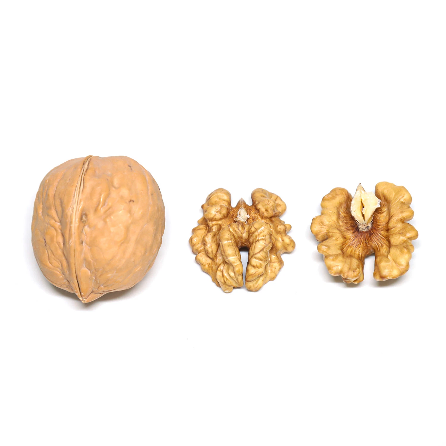 Factory Price Walnut Wholesale/Supplier Chinese Dried Fruit Xinjiang 185 Walnuts Xinjiang Walnuts