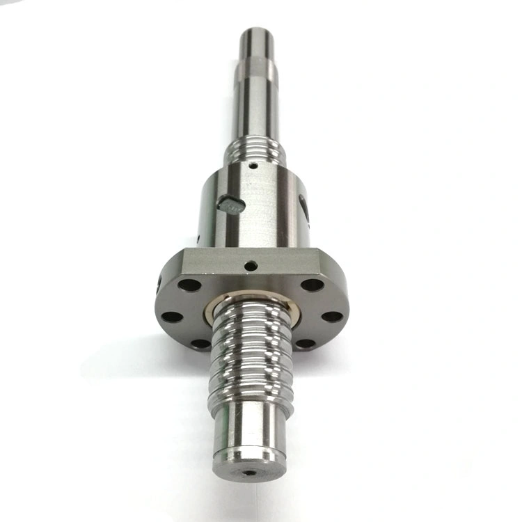 Tbi Linear Motion Lagerteile Linear Ballscrew